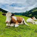 Mountain & Fun Saalbach-Hinterglemm