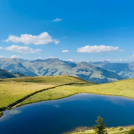 Апартаменты Mountain & Fun Зальбах-Хинтерглемм