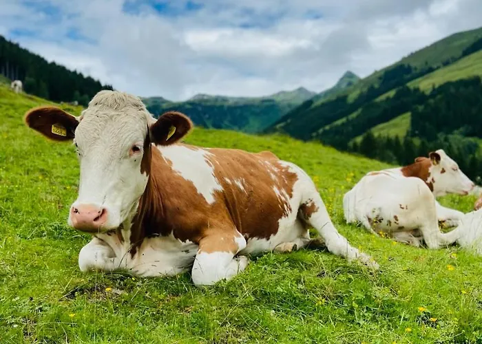 Mountain & Fun 잘바흐 힌터글렘